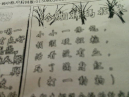 劉伯溫特一肖王中王，傳奇人物與生肖之王的神秘結(jié)合，劉伯溫生肖傳奇，傳奇人物與生肖之王的神秘交融