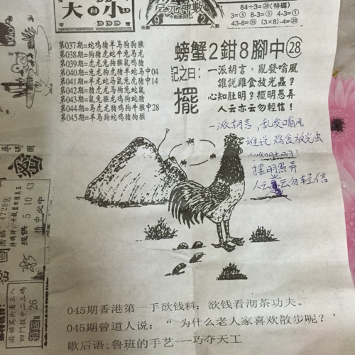 揭秘林中的高手王中王猜一肖的奧秘，揭秘林中之王王中王與生肖奧秘探秘