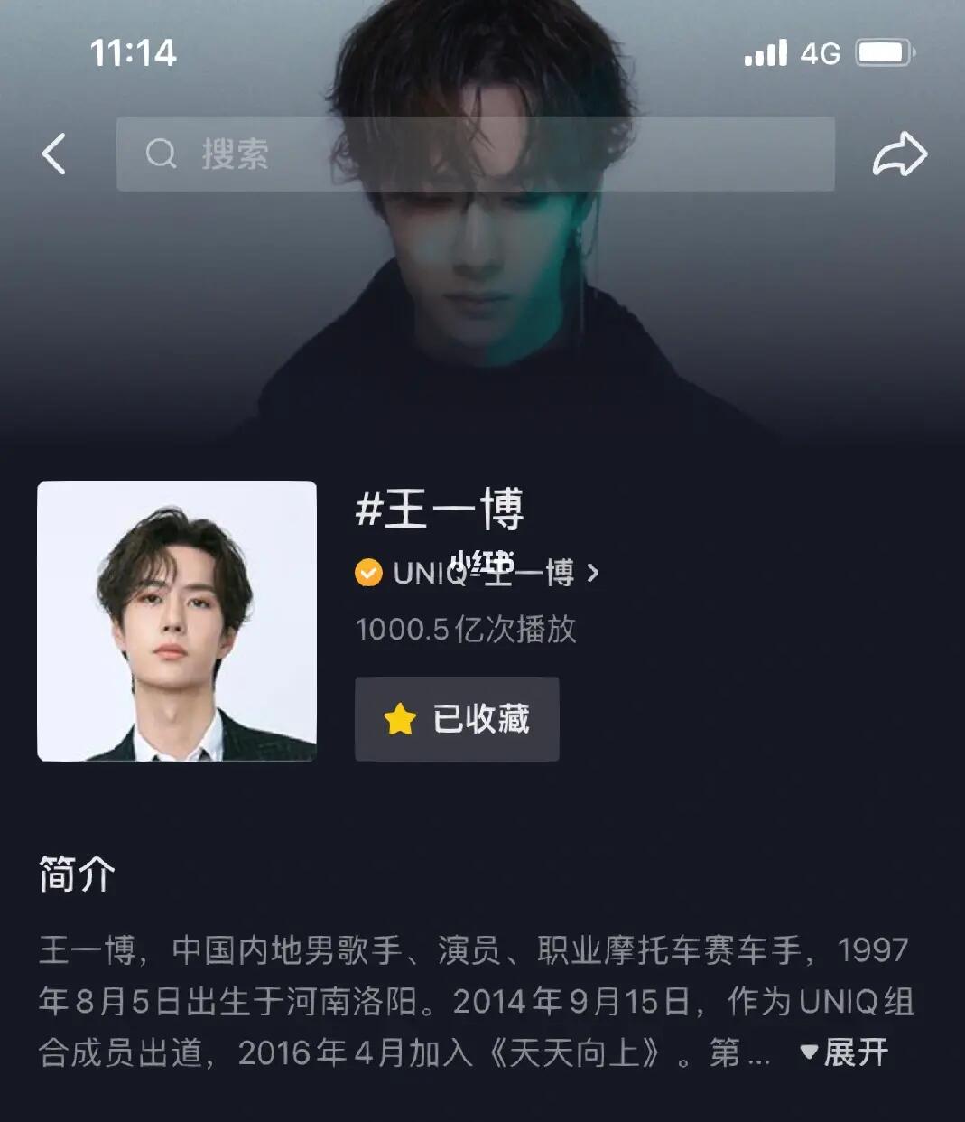 王中王一肖內(nèi)部資料詳解，王中王一肖內(nèi)部資料深度解析
