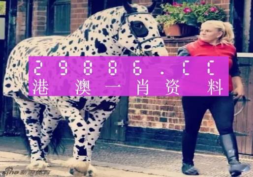 香港網(wǎng)址王中王一肖中特，探索與解析，香港網(wǎng)址王中王一肖中特，深度探索與解析