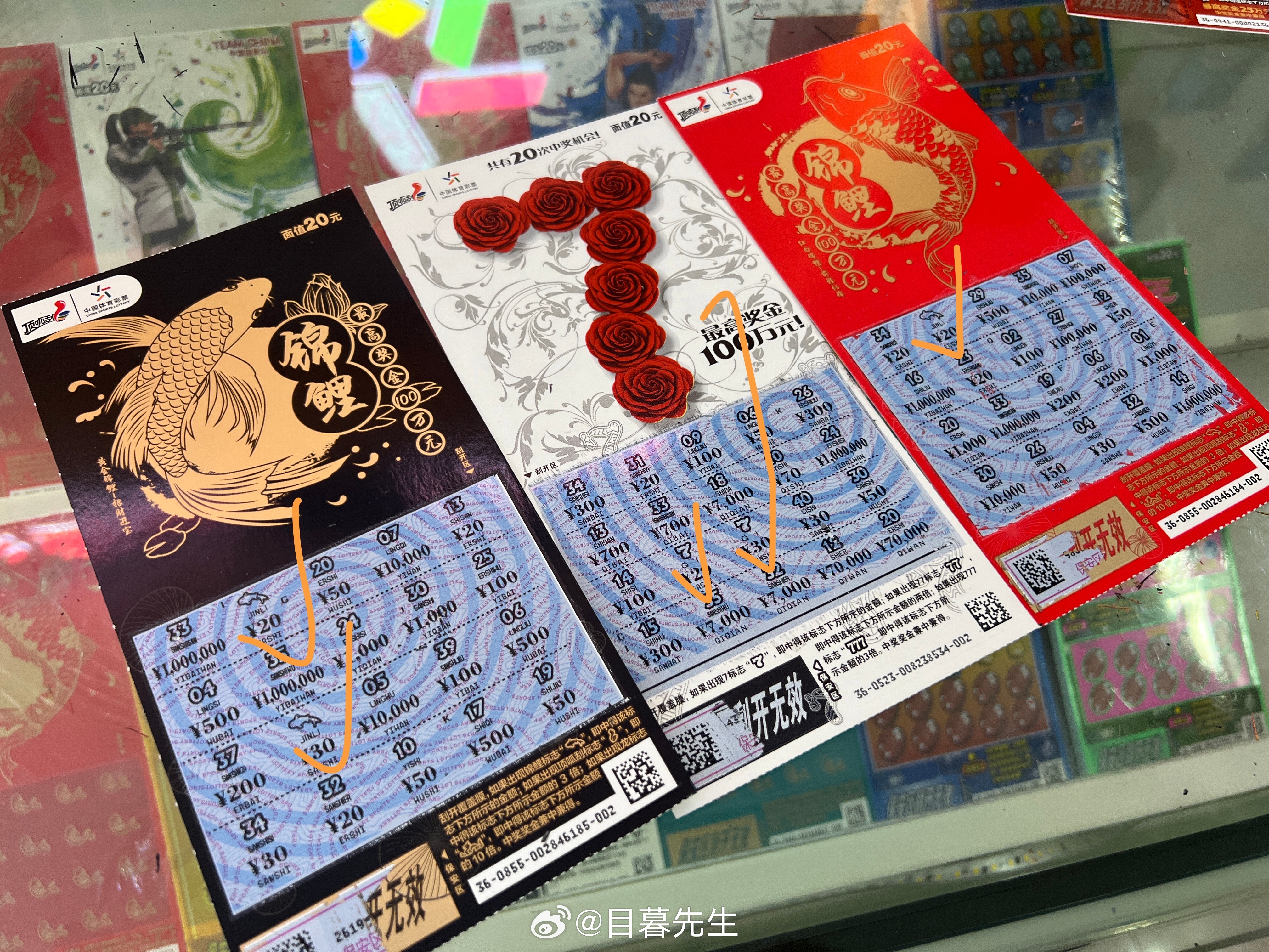 全年王中王一肖中特，深度解析與預(yù)測(cè)，全年王中王一肖深度解析與預(yù)測(cè)，揭秘特肖趨勢(shì)