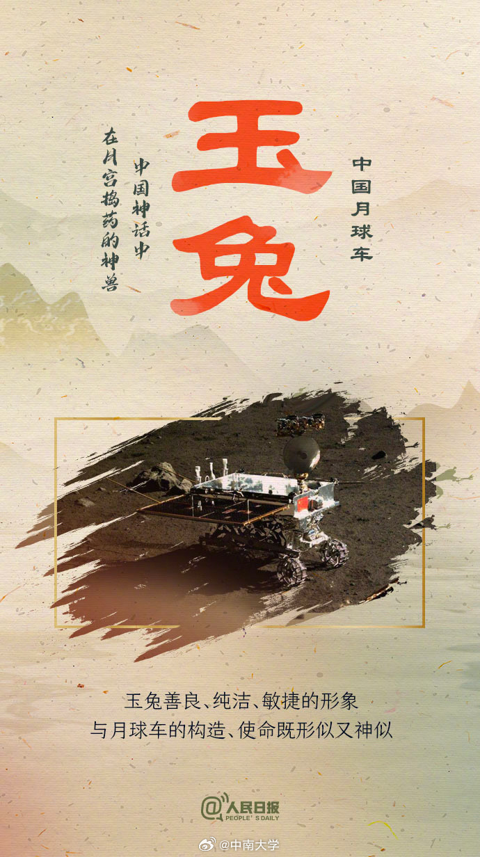 揭秘王中王平特一肖免會(huì)公開(kāi)的奧秘，王中王平特一肖免公開(kāi)揭秘奧秘