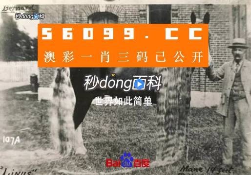 澳門王中王心水王中王
