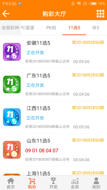 王中王黃金一肖二碼資料，深度解析與SEO優(yōu)化，王中王黃金一肖二碼資料深度解析與SEO優(yōu)化技巧