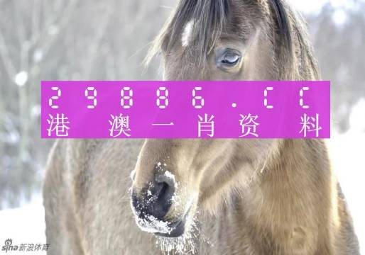 澳門一肖一碼背后的故事，一個(gè)關(guān)于精準(zhǔn)預(yù)測與傳奇的揭秘，澳門一肖一碼傳奇背后的精準(zhǔn)預(yù)測與揭秘之旅