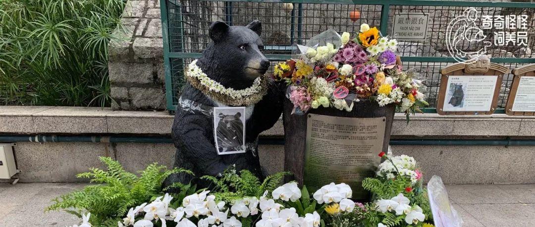 澳門最快開獎現場，揭秘彩票開獎的即時速度與激情，澳門最快開獎現場揭秘，彩票開獎的速度與激情