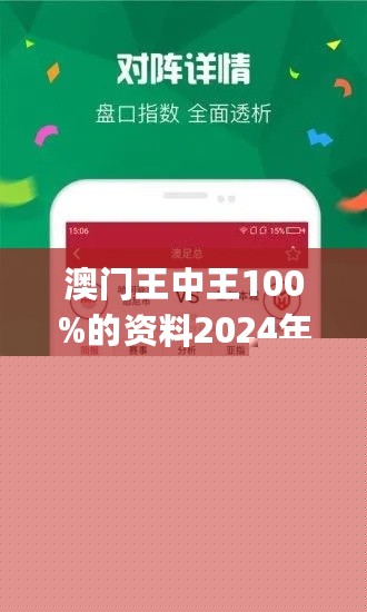王中王網(wǎng)站一肖，探索與SEO優(yōu)化策略，王中王網(wǎng)站一肖，深度探索與SEO優(yōu)化策略實(shí)踐