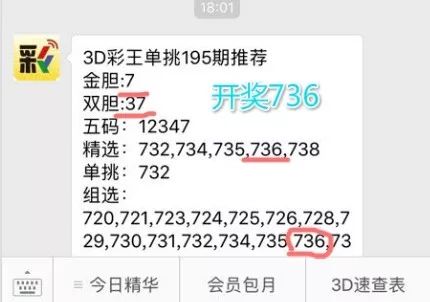 王中王一肖中特4993，深度解析與探索，王中王一肖中特4993深度解析與探索報告