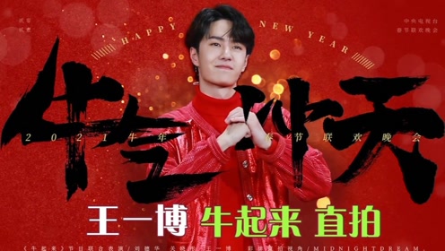 關(guān)于中王王中王一肖中特的SEO文章，中王王中王一肖中特的SEO優(yōu)化策略解析