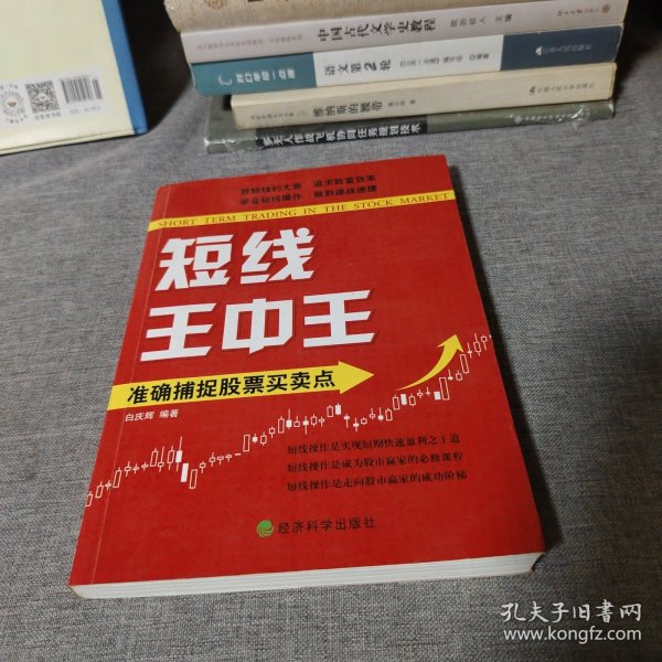 王中王平特一肖中的奧秘與探索，王中王平特一肖的奧秘與探索之旅