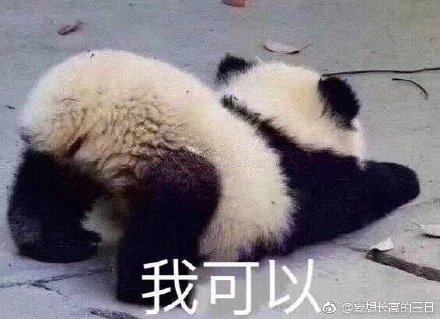 澳門精準(zhǔn)四不像最新正版，揭秘與探索，澳門精準(zhǔn)四不像揭秘與探索最新正版資訊