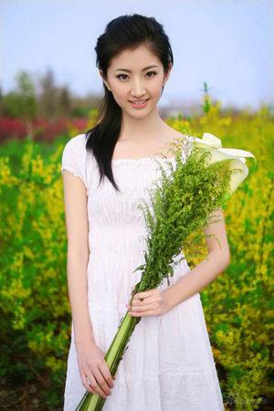 新澳門生肖走勢(shì)圖精準(zhǔn)版，解讀與SEO策略，新澳門生肖走勢(shì)圖精準(zhǔn)解讀與SEO策略揭秘