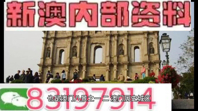 今晚澳門買什么最好？全方位解讀帶你走向勝利之路，澳門今晚買什么最佳？全方位指南引領你走向勝利之路