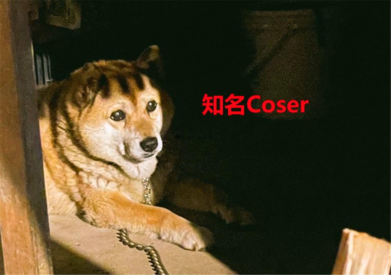 豬狗同行王中王，猜一肖，深度解析與SEO優(yōu)化，豬狗同行王中王猜謎解析與SEO優(yōu)化技巧，深度解析揭秘生肖之謎