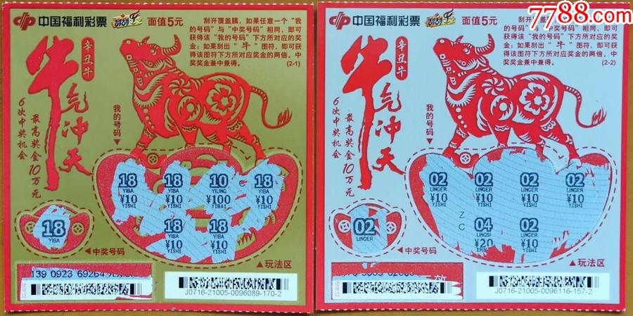 王中王19期指一生肖——探尋背后的奧秘與意義，王中王19期指一生肖，背后的奧秘與意義探尋