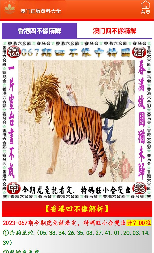 澳門必開一肖中特，揭秘生肖彩票的魅力與策略，揭秘澳門生肖彩票的魅力，必開一肖中特與策略解析