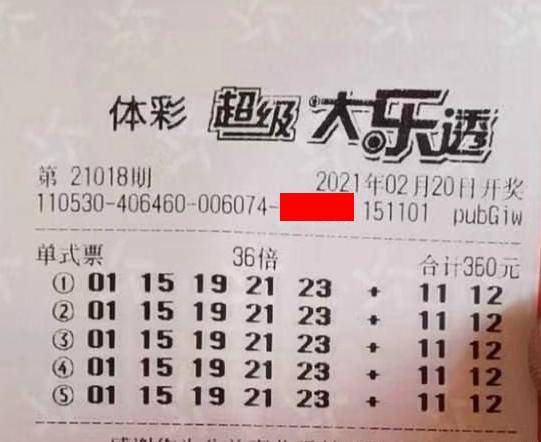 王中王018期指一生肖，揭秘背后的奧秘與意義，揭秘生肖奧秘，王中王生肖背后的意義與秘密