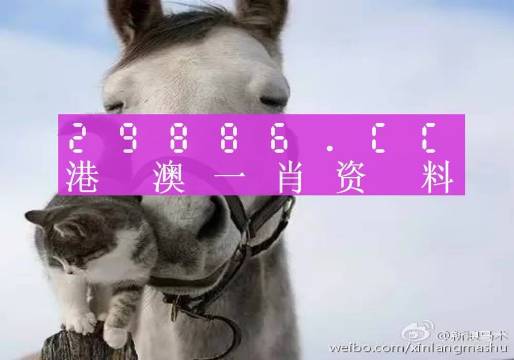 揭秘劉伯溫四肖選一碼的意思——探尋背后的故事與真相，揭秘劉伯溫四肖選一碼背后的真相與故事