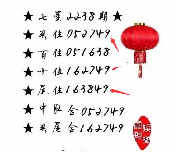 王中王一肖尾數(shù)資料，深度解析與探索，王中王一肖尾數(shù)資料深度解析與探索之旅
