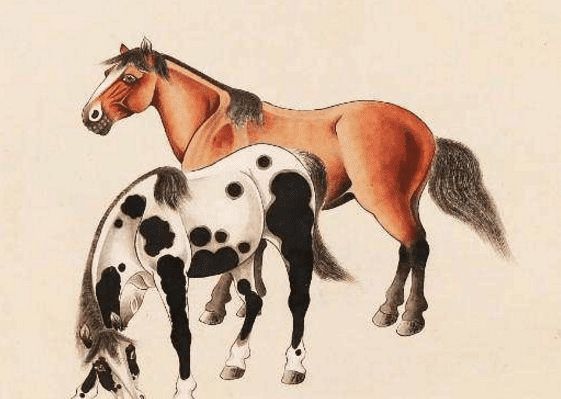 馬一王中王特平一肖圖，深度解析與SEO優(yōu)化策略，深度解析馬一王中王特平肖圖，SEO優(yōu)化策略探討