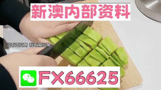 新澳精選資料免費(fèi)提供，探索優(yōu)質(zhì)資源的海洋，新澳精選資料免費(fèi)探索，優(yōu)質(zhì)資源海洋的開啟