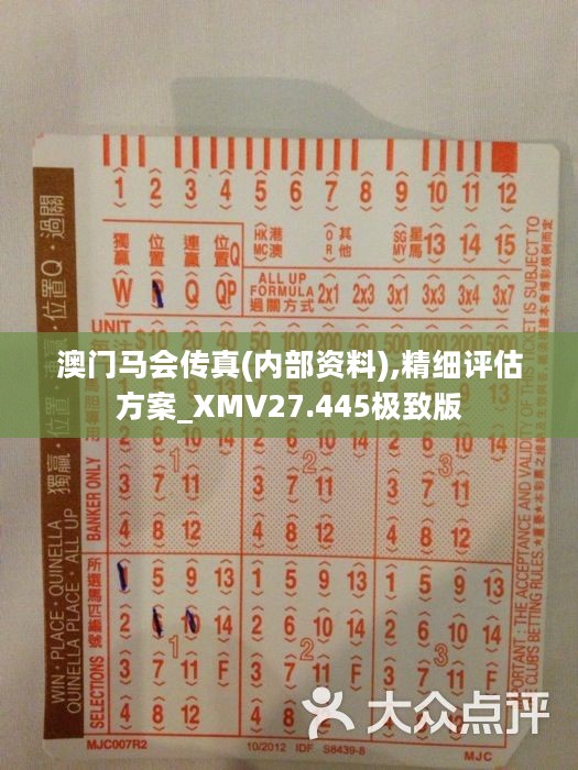 馬會(huì)傳真正版，探索正版馬會(huì)文化的魅力與價(jià)值，正版馬會(huì)文化的魅力與價(jià)值探索