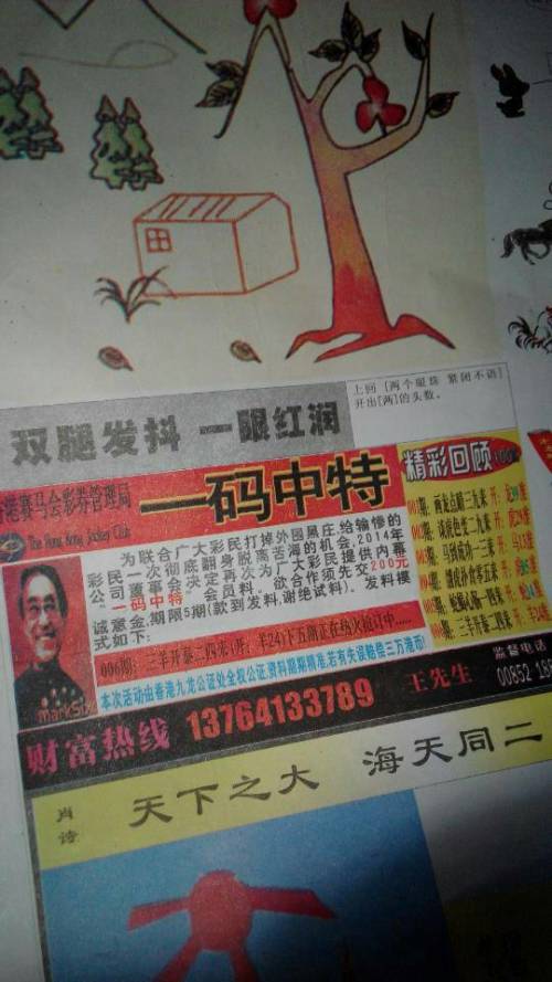 王中王贏錢(qián)詩(shī)猜一肖，揭秘背后的奧秘與策略，揭秘王中王贏錢(qián)詩(shī)背后的生肖奧秘與策略揭秘