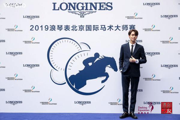 王中王一肖精準，深度解析與策略探討，王中王一肖精準解析與策略深度探討