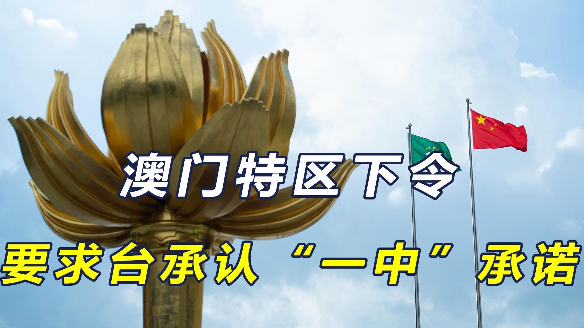 澳門一碼一肖一特一中直播，探索與體驗(yàn)獨(dú)特的娛樂盛宴，澳門一碼一肖直播，獨(dú)特娛樂盛宴的探索與體驗(yàn)