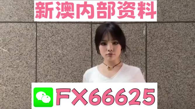 澳門正版資料大全完整版，探索與揭秘2025年澳門正版資料的世界，澳門正版資料大全揭秘，探索未來至2025年的奧秘世界