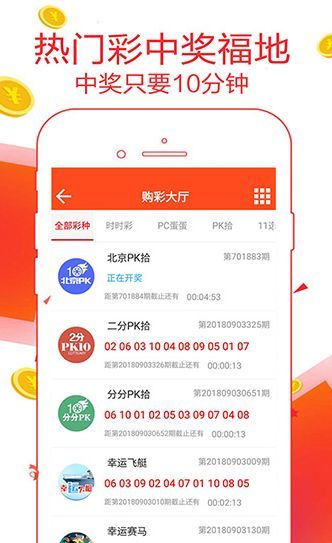 王中王一肖碼數(shù)口，深度解析與SEO優(yōu)化策略，王中王一肖碼數(shù)口深度解析與SEO優(yōu)化策略探討