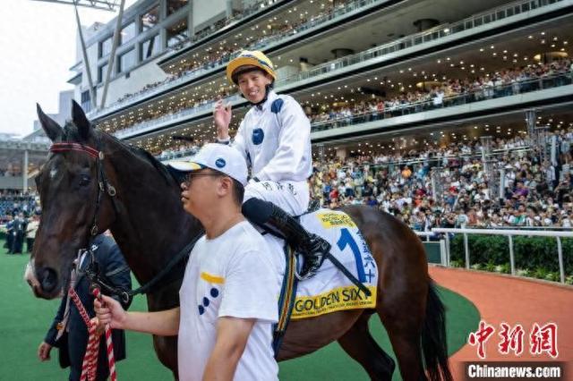 香港特馬王資料免費(fèi)公開，揭秘背后的秘密，香港特馬王資料揭秘，免費(fèi)公開背后的秘密