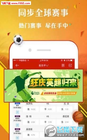 王中王一肖，探尋背后的故事與影響力（2019年），王中王一肖，背后的故事與影響力揭秘（2019年）