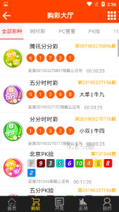尋找王中王一肖圖——深度解析背后的故事，深度探尋王中王一肖圖的背后故事