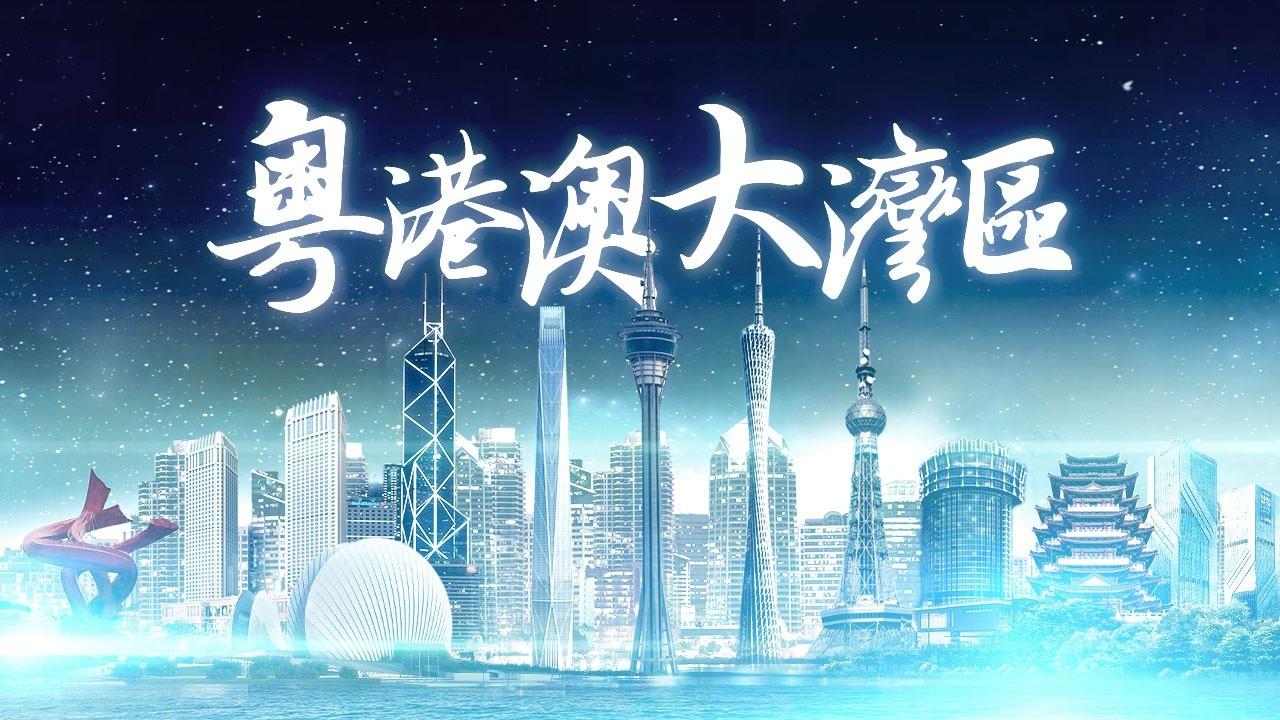 2025年香港正版免費(fèi)資料全面解析，香港正版免費(fèi)資料全面解析（2025版）