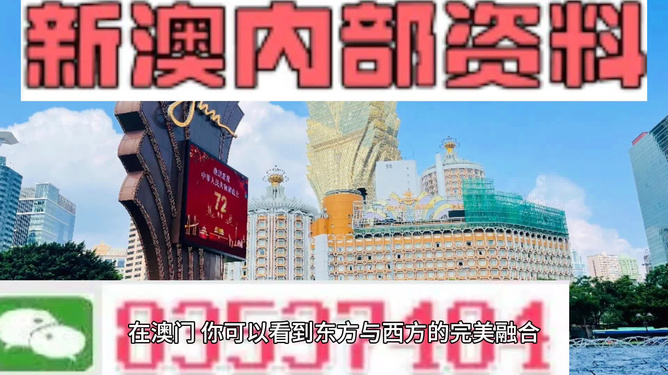 新澳新澳門正版資料，探索與解析，新澳新澳門正版資料深度解析與探索
