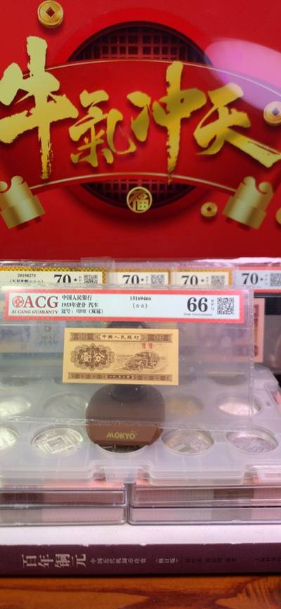 王中王廣東一肖，探尋背后的故事與奧秘，王中王廣東一肖，背后的故事與奧秘探尋