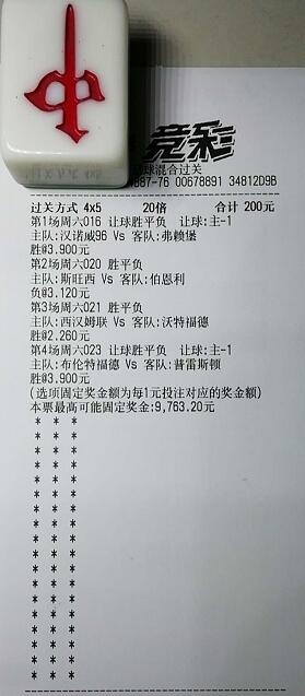 揭秘買一肖中獎(jiǎng)的賠率與風(fēng)險(xiǎn)，你真的準(zhǔn)備好了嗎？，揭秘買一肖中獎(jiǎng)背后的賠率與風(fēng)險(xiǎn)，你真的做好準(zhǔn)備了嗎？