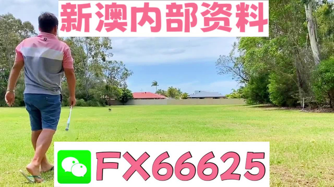 王中王兩肖一碼，揭秘背后的奧秘，王中王兩肖一碼揭秘，背后的秘密與奧秘