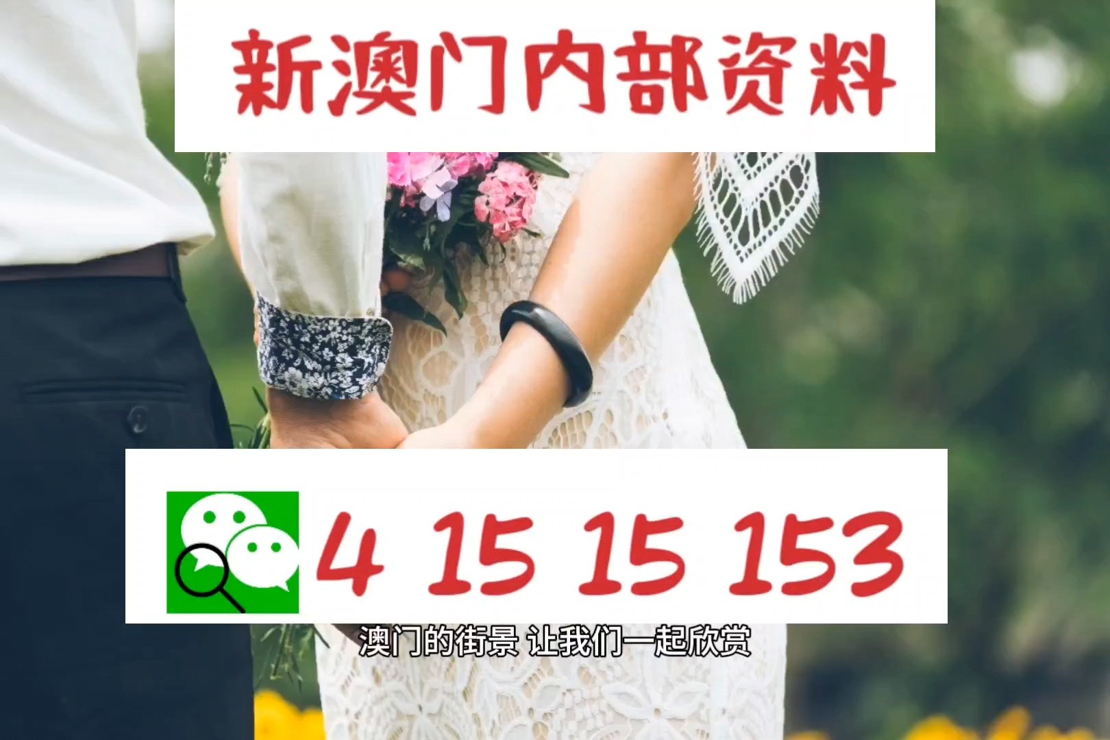 澳門掛牌正版掛牌完整掛牌，探索與解析，澳門掛牌正版完整流程解析與探索