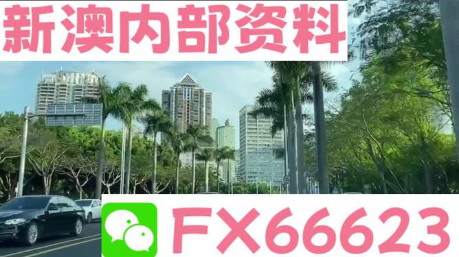 新澳精準資料免費提供，探索第221期的奧秘與價值，新澳精準資料揭秘第221期奧秘與價值