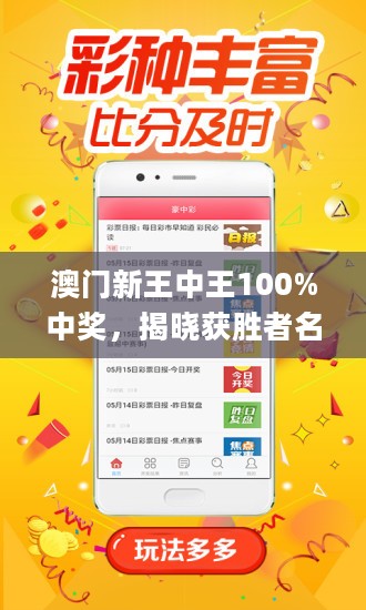王中王藏寶閣猜一肖，揭秘背后的秘密與SEO策略，王中王藏寶閣猜一肖背后的秘密與SEO策略揭秘