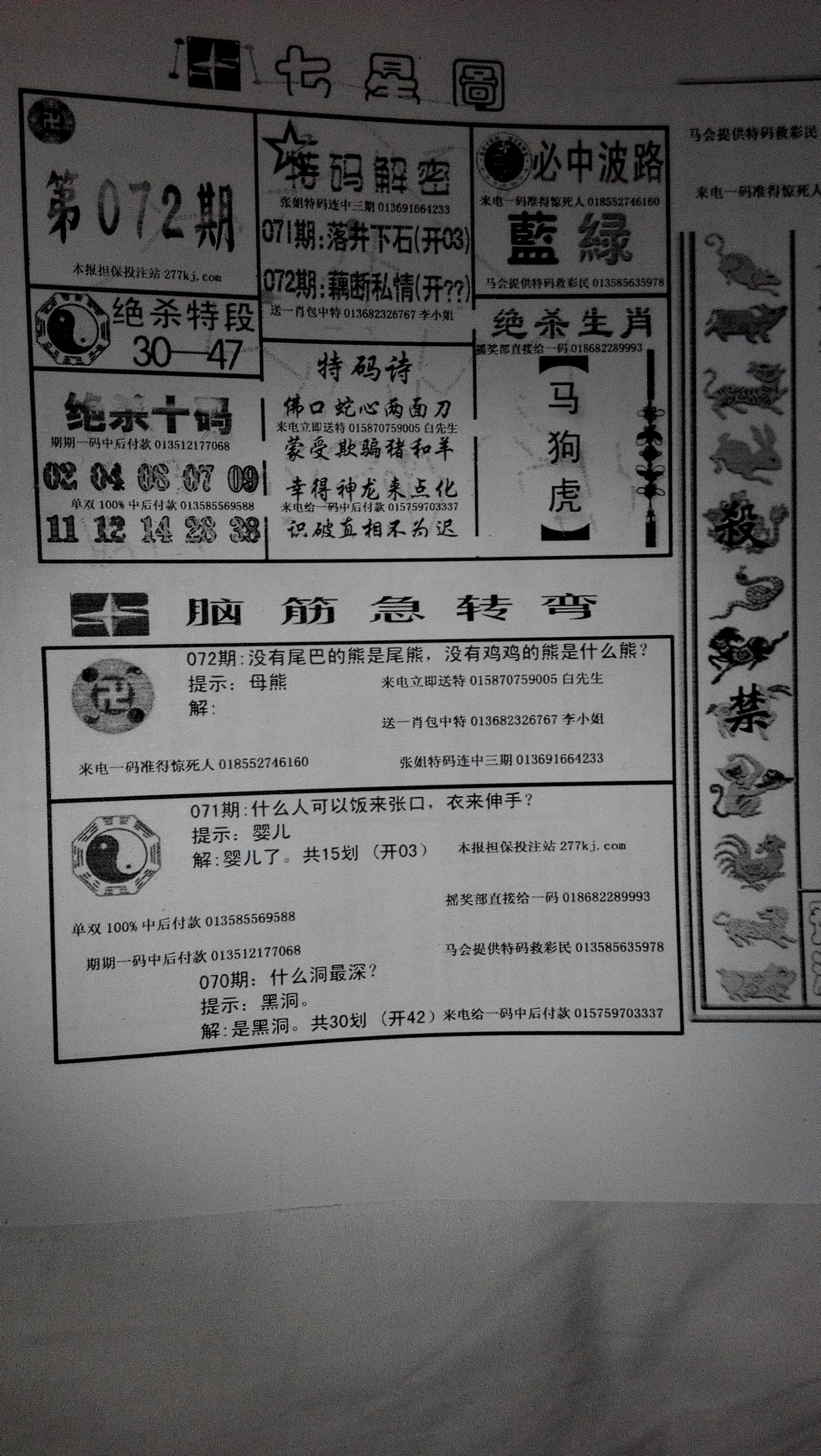 王中王85期指一生肖——深度解析與預(yù)測，王中王85期生肖深度解析與預(yù)測