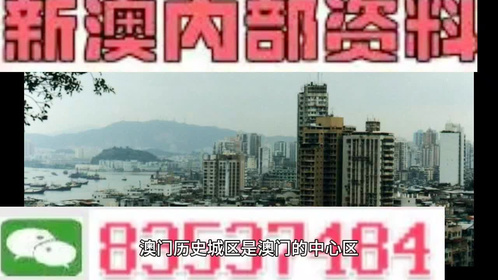 澳門全年最全免費資料大全，探索無盡的資源寶庫，澳門全年免費資料寶庫，探索無盡資源之旅