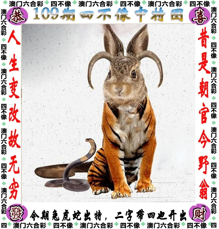 王中王四不像必中一肖——揭秘背后的秘密，揭秘王中王四不像必中一肖的秘密真相
