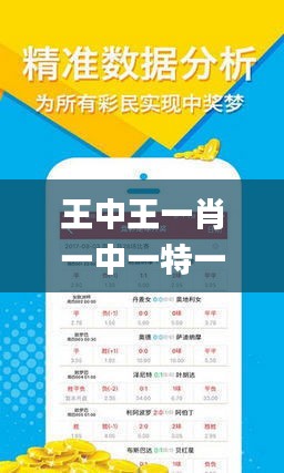 神秘面紗揭秘