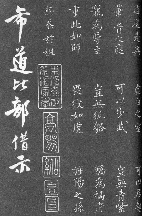 一肖二碼中特的意思解析，一肖二碼中特的意思深度解析