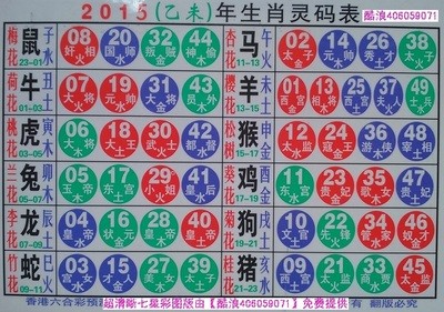 揭秘2025十二生肖與數(shù)字彩票的神奇聯(lián)系——49碼表全解析，揭秘十二生肖與數(shù)字彩票的神秘聯(lián)系，2025年49碼表深度解析