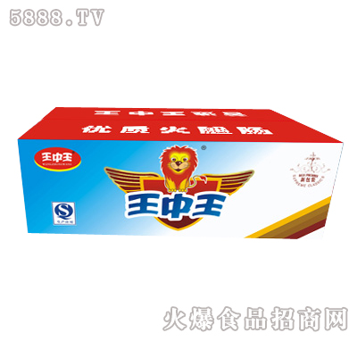 王中王一肖特圖，揭秘背后的故事與魅力，揭秘王中王一肖特圖的背后故事與魅力