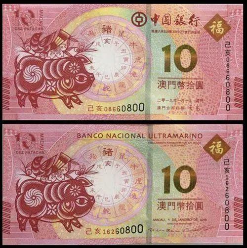 澳門天天彩期期精準(zhǔn)十二生肖預(yù)測——揭秘彩票背后的秘密，澳門天天彩期期精準(zhǔn)十二生肖預(yù)測，彩票背后的秘密大揭秘